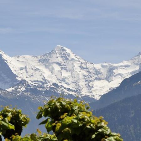 Hotel Schonegg Jungfrau Экстерьер фото